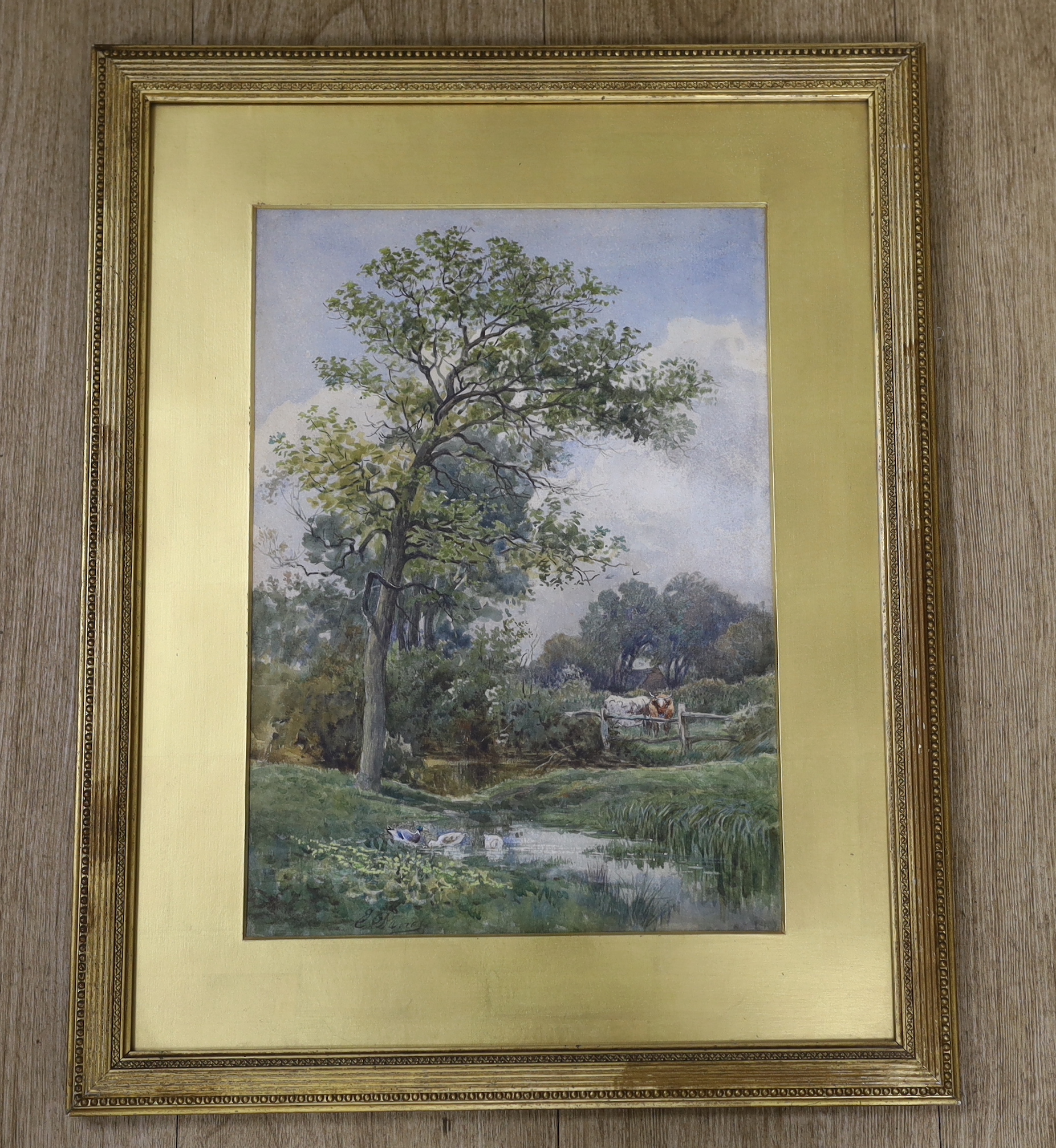 E. Barnes (20th.C), watercolour, Rural landscape with cattle and ducks, signed, 35 x 25cm